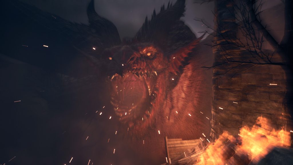 Dragon's Dogma 2-sistem