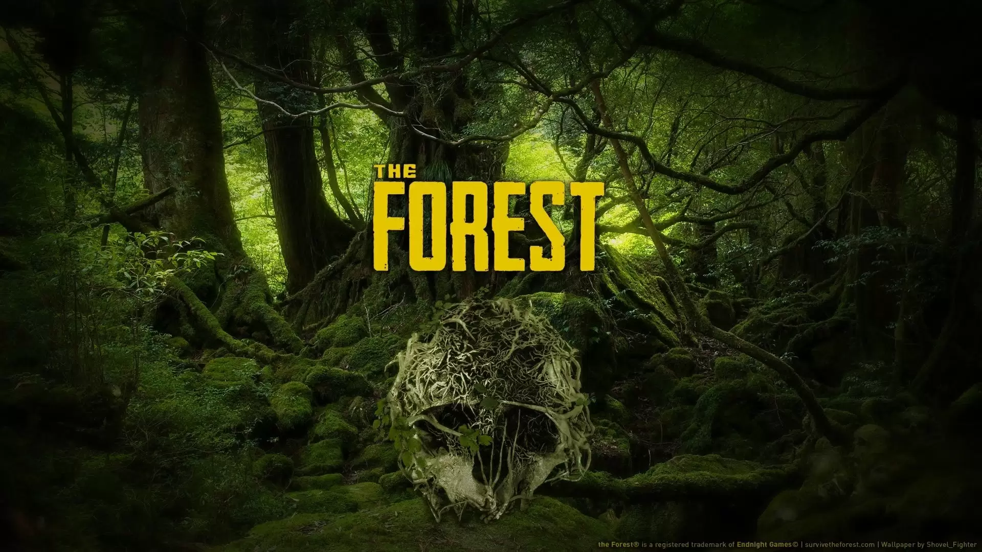 The Forest Sistem Gereksinimleri