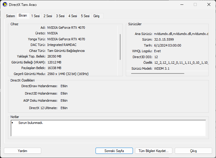 directx tanı aracı