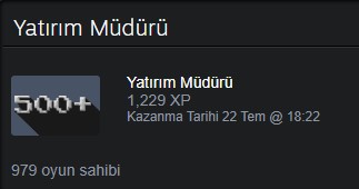steam yatırım müdürü